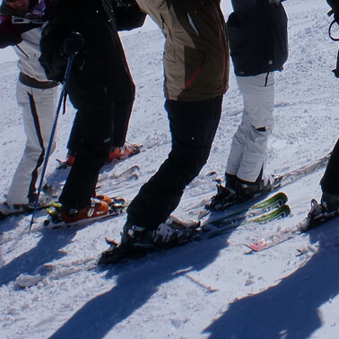 Ausbildung für den Schneesport an Schulen - Ski Alpin